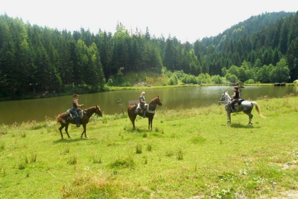 Wohlfuehlbauernhof Siebernegg Villa Eibiswald Екстериор снимка